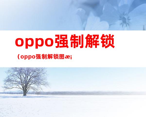 oppo强制解锁（oppo强制解锁图案锁）