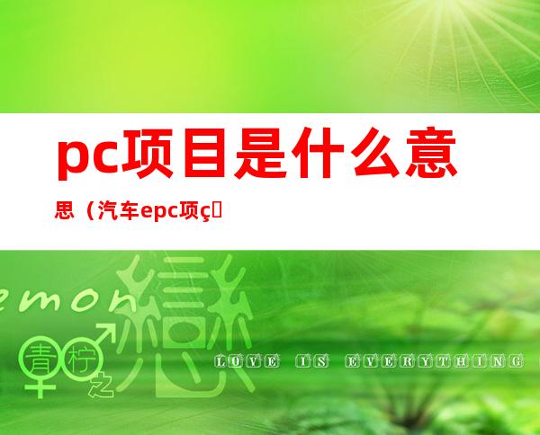 pc项目是什么意思（汽车epc项目是什么意思）