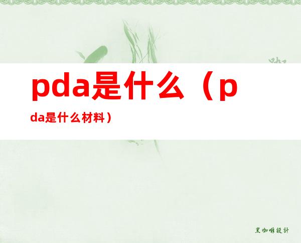 pda是什么（pda是什么材料）