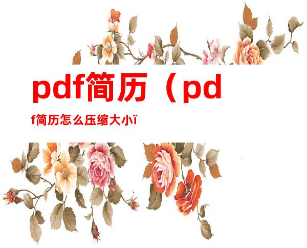 pdf简历（pdf简历怎么压缩大小）