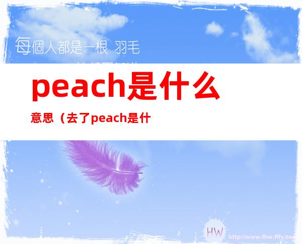 peach是什么意思（去了peach是什么意思）