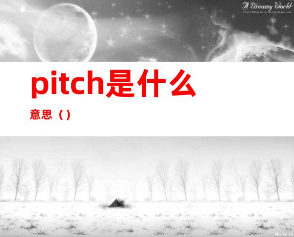 pitch是什么意思（）