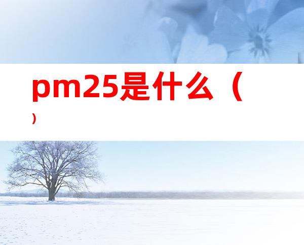 pm25是什么（）