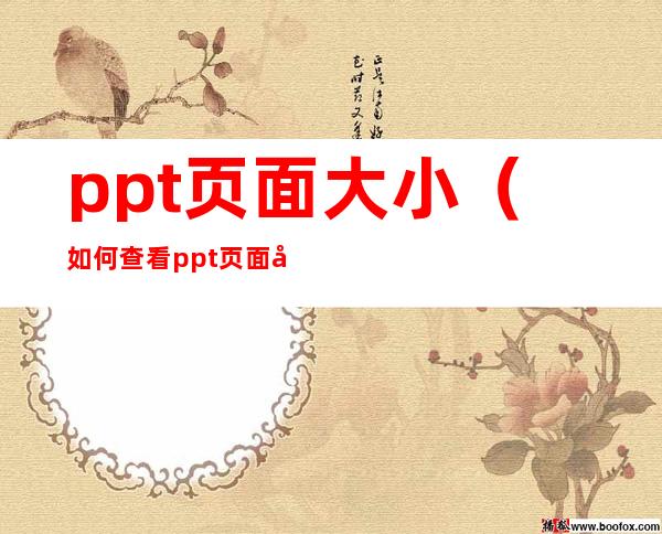 ppt页面大小（如何查看ppt页面大小）