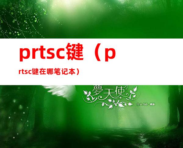 prtsc键（prtsc键在哪笔记本）