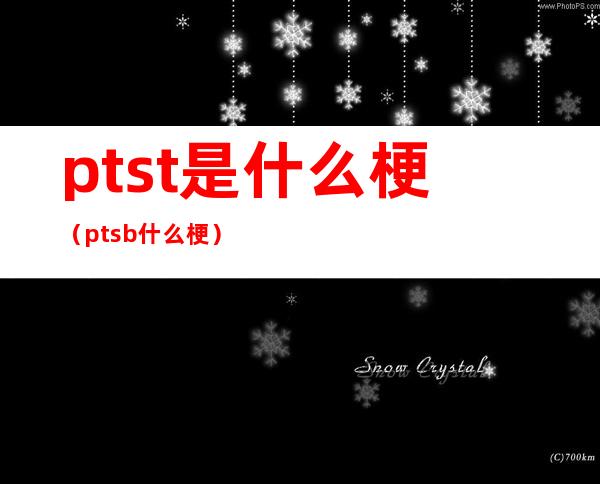 ptst是什么梗（ptsb什么梗）