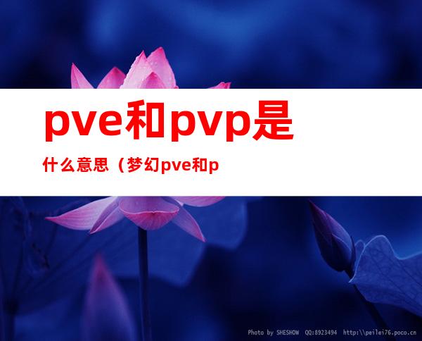 pve和pvp是什么意思（梦幻pve和pvp是什么意思）