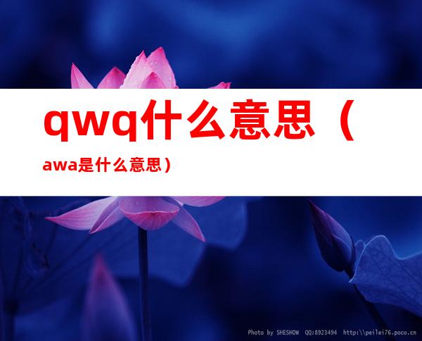 qwq什么意思（awa是什么意思）