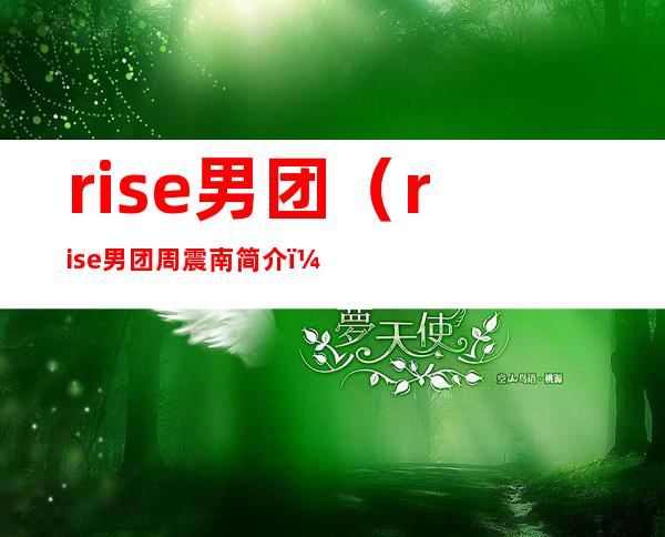 rise男团（rise男团周震南简介）