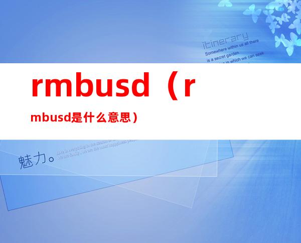 rmbusd（rmbusd是什么意思）