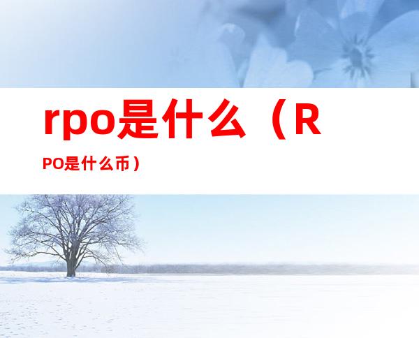 rpo是什么（RPO是什么币）