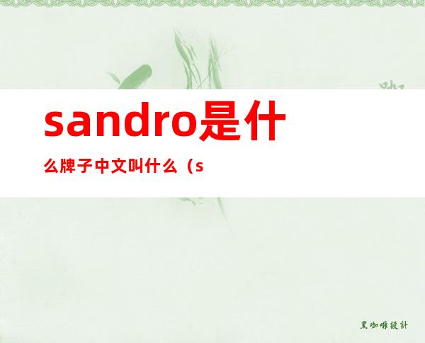 sandro是什么牌子中文叫什么（sandro是哪里的牌子）