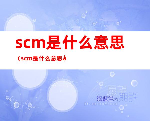 scm是什么意思（scm是什么意思对女朋友说）