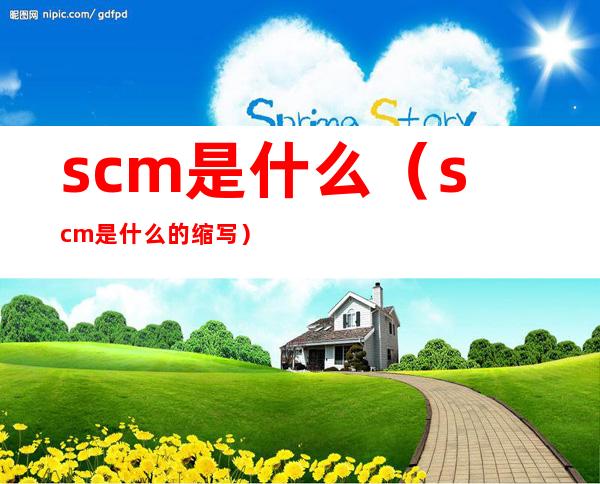 scm是什么（scm是什么的缩写）