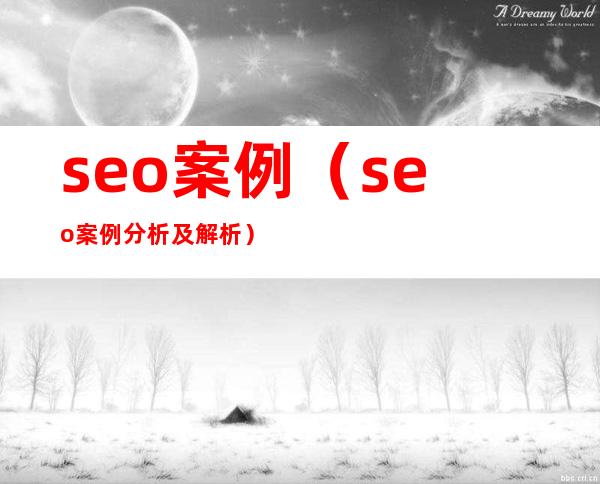 seo案例（seo案例分析及解析）