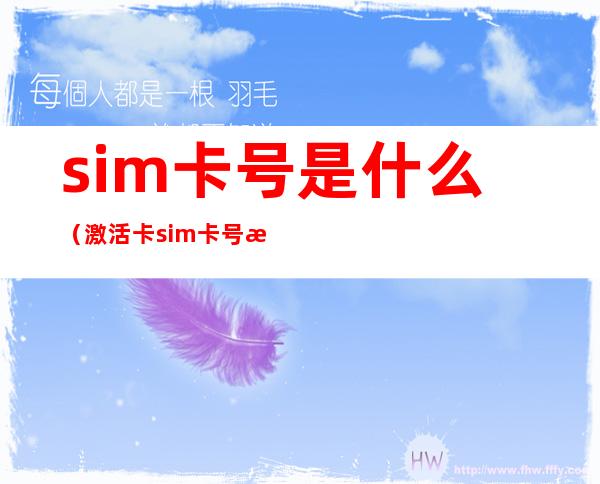 sim卡号是什么（激活卡sim卡号是什么）