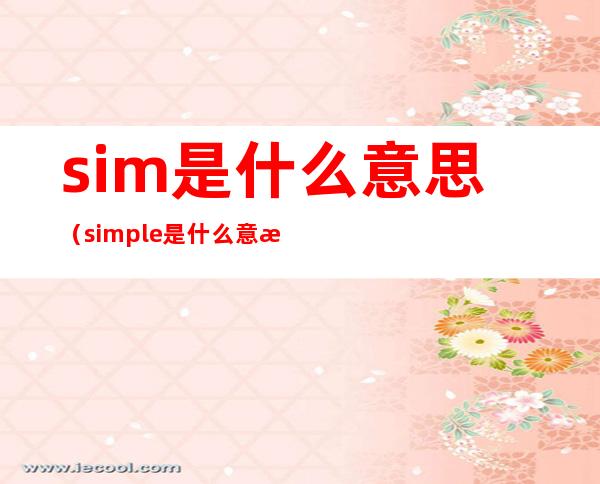 sim是什么意思（simple是什么意思）