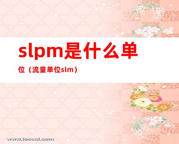 slpm是什么单位（流量单位slm）