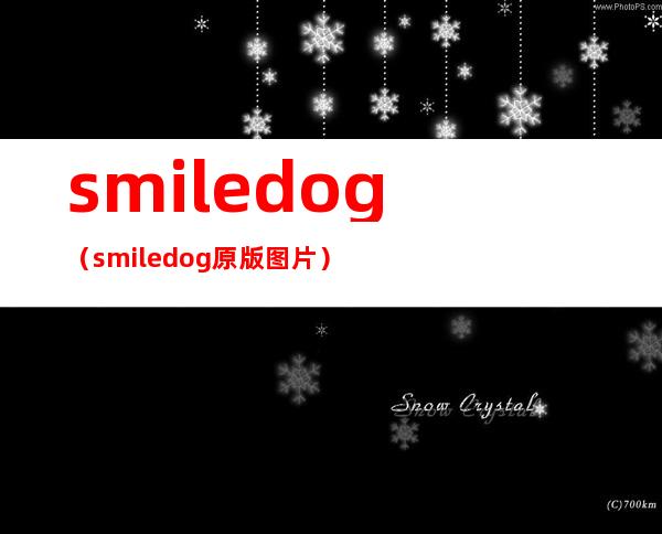 smiledog（smiledog原版图片）