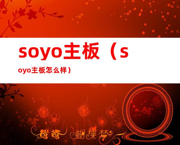 soyo主板（soyo主板怎么样）