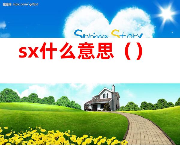 sx什么意思（）