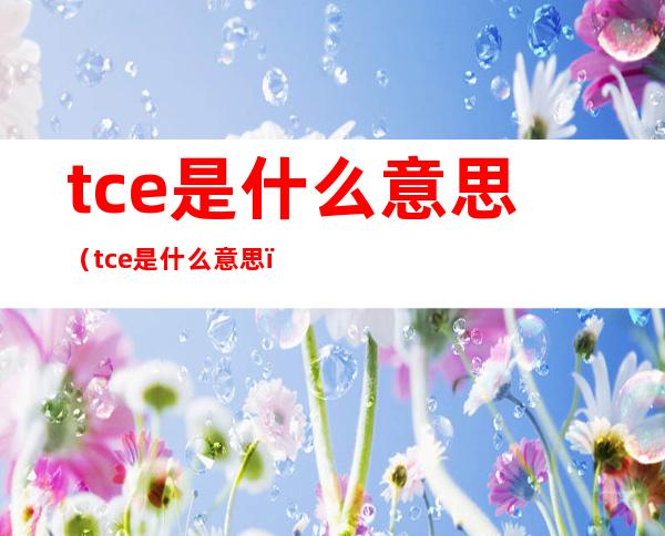 tce是什么意思（tce是什么意思?）