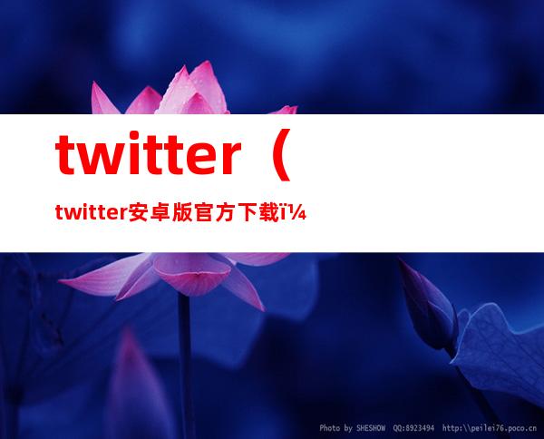 twitter（twitter安卓版官方下载）