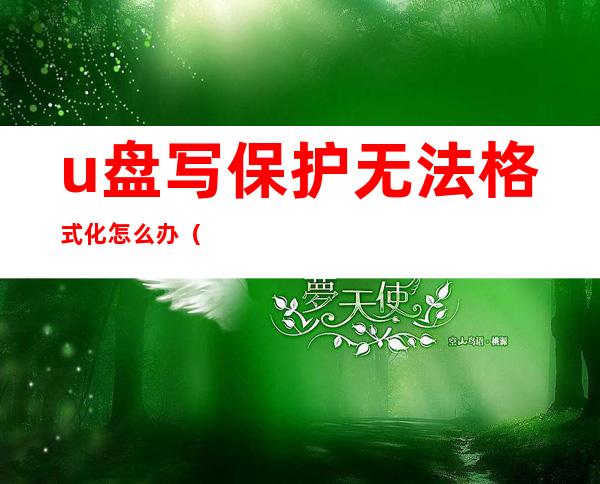 u盘写保护无法格式化怎么办（u盘出现写保护无法格式化）