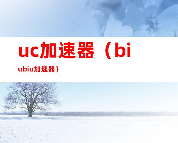 uc加速器（biubiu加速器）