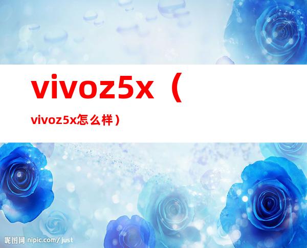 vivoz5x（vivoz5x怎么样）