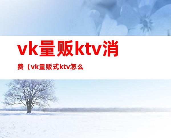 vk量贩ktv消费（vk量贩式ktv怎么样）