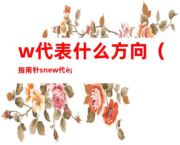 w代表什么方向（指南针snew代表什么方向）