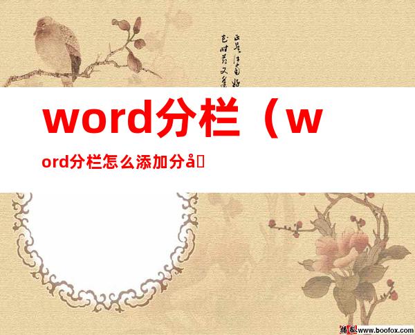 word分栏（word分栏怎么添加分割线）