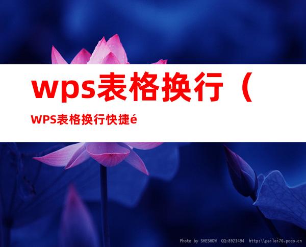 wps表格换行（WPS表格换行快捷键是哪个）