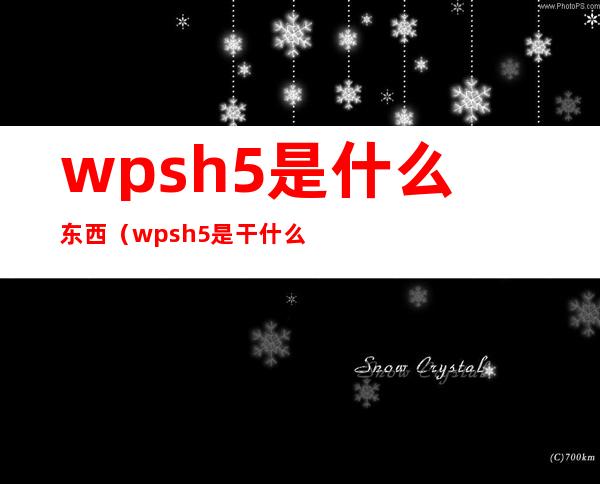 wpsh5是什么东西（wpsh5是干什么的电脑）