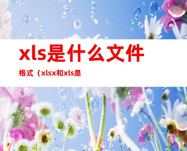 xls是什么文件格式（xlsx和xls是什么格式的文件）