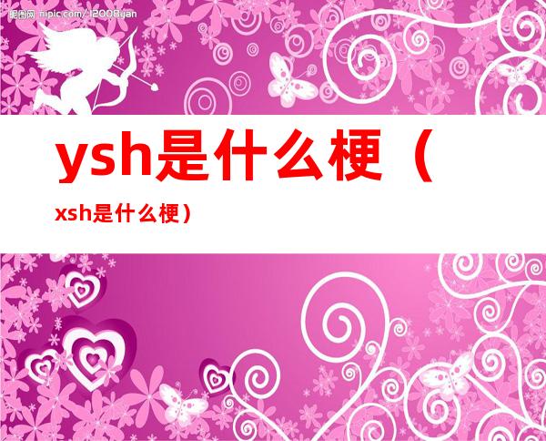 ysh是什么梗（xsh 是什么梗）