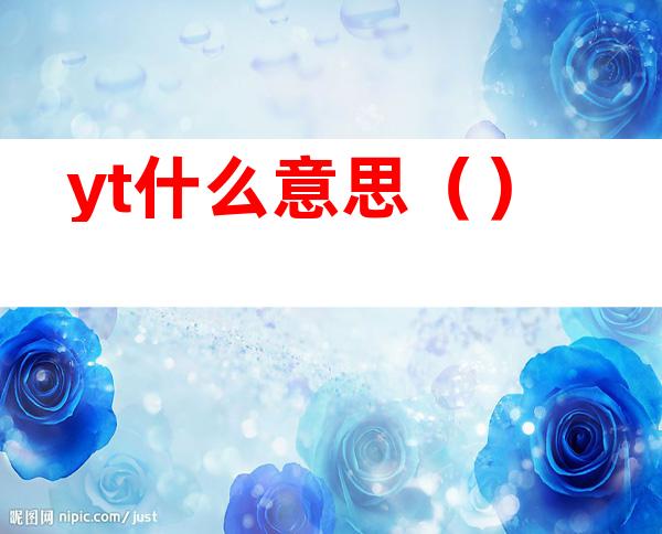 yt什么意思（）