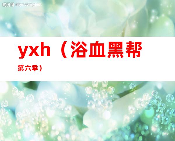 yxh（浴血黑帮第六季）