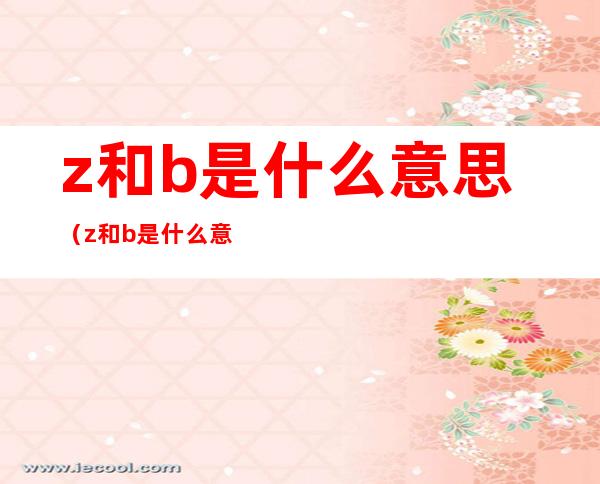 z和b是什么意思（z和b是什么意思小众圈子）