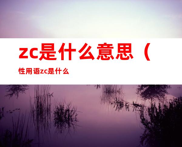 zc是什么意思（性用语zc是什么意思）