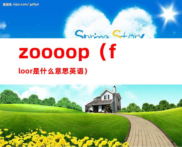 zoooop（floor是什么意思英语）